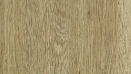 Coriander Oak 94